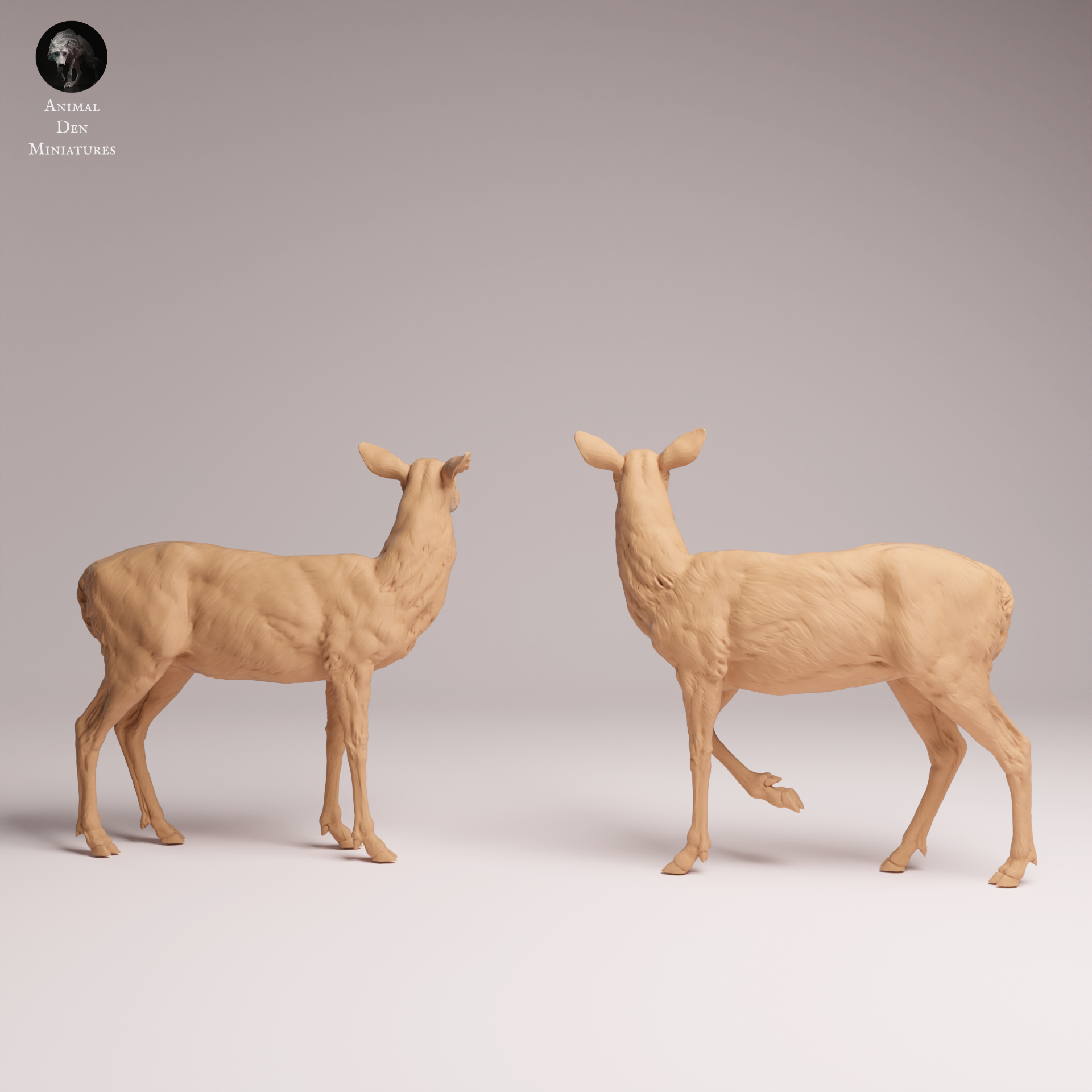 White Tailed Deer Does 1:24