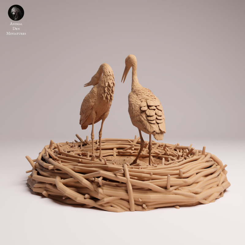 White Stork Courting