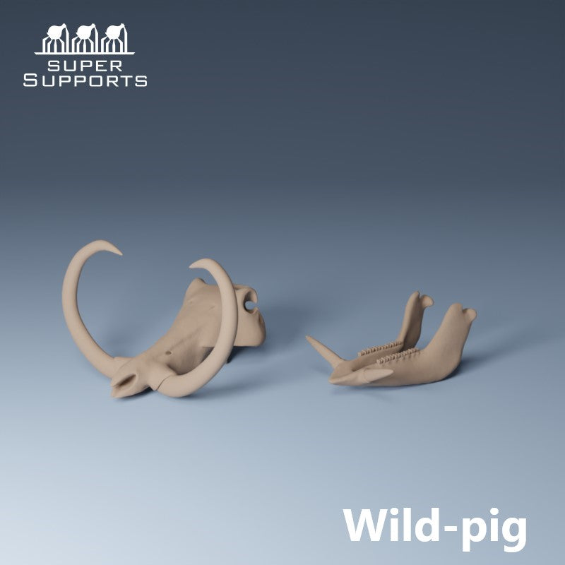 Animal Skulls - Group 1