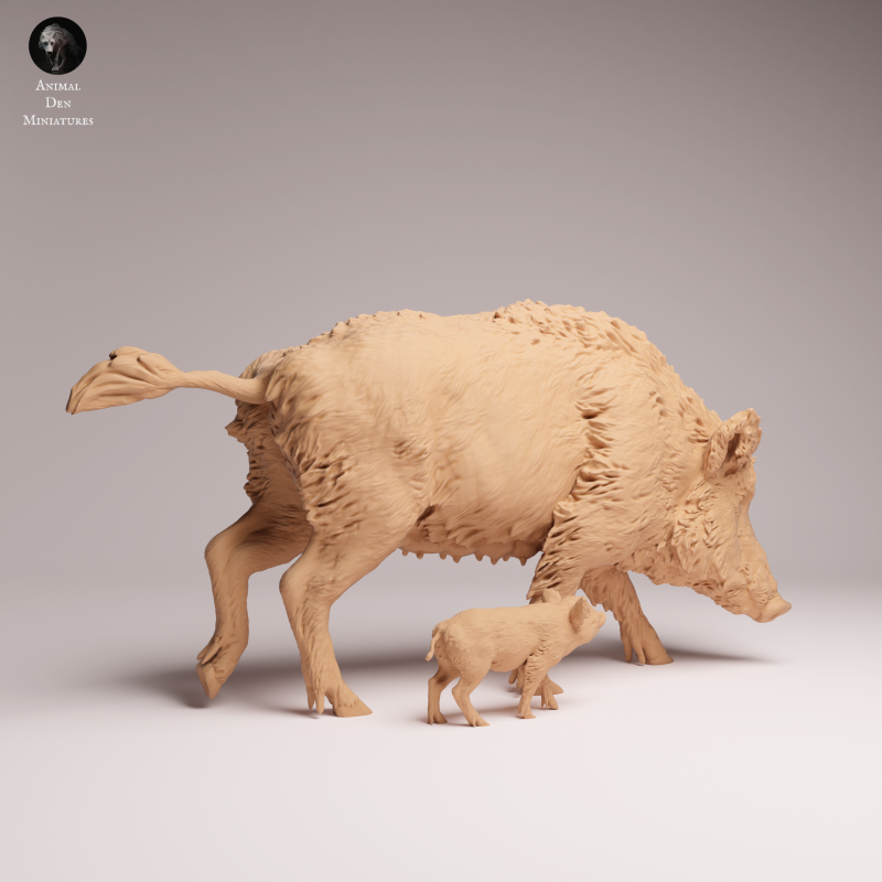 Wild Boar - Sow and Piglet
