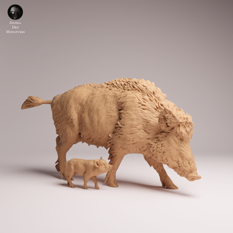 Wild Boar - Sow and Piglet