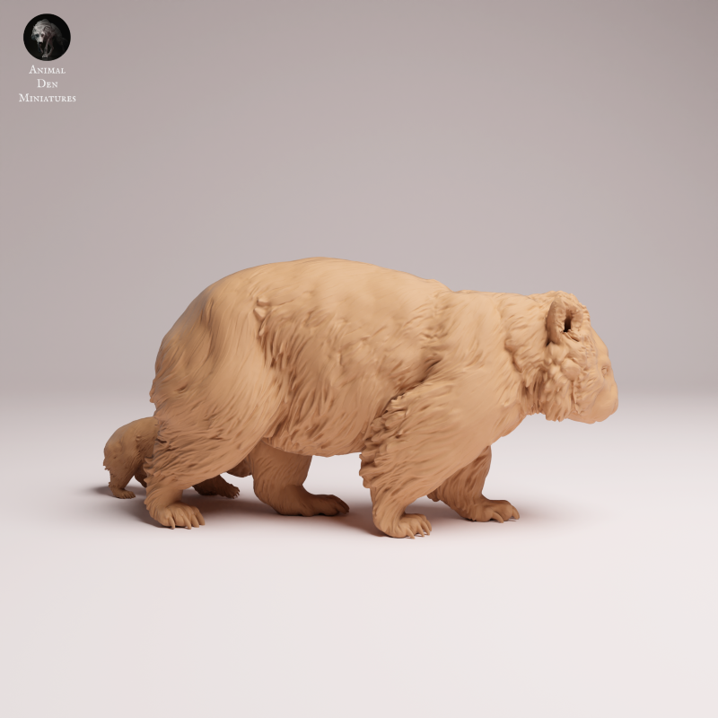 Wombat and Joey 1:16