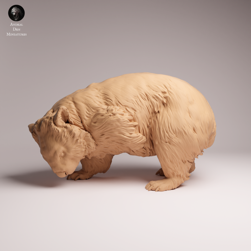 Wombat Scratching 1:16