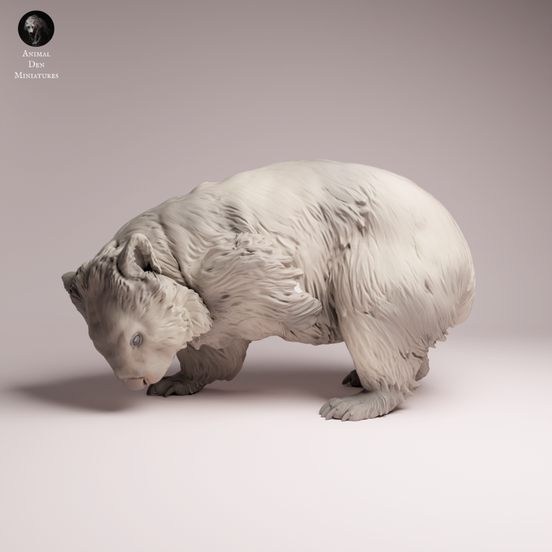 Wombat Scratching 1:16