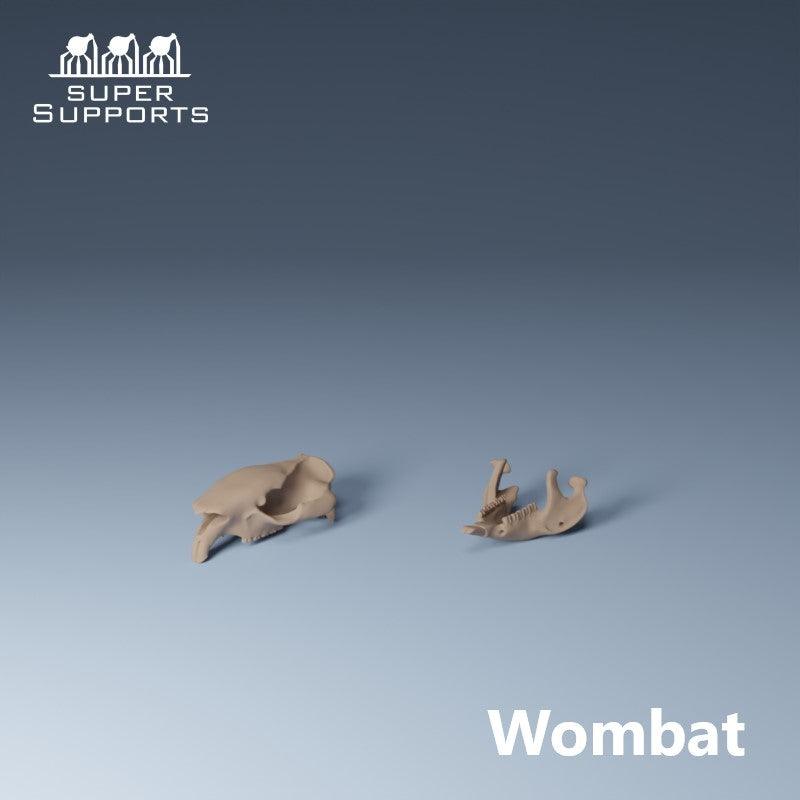 Animal Skulls - Group 2