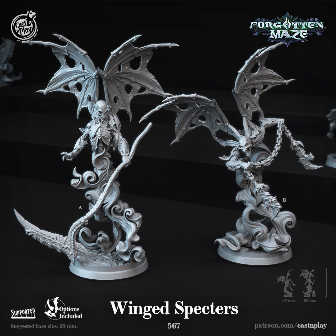 undead skeleton winged wraiths