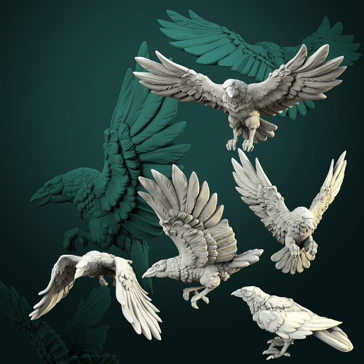 murder of crows flock of ravens