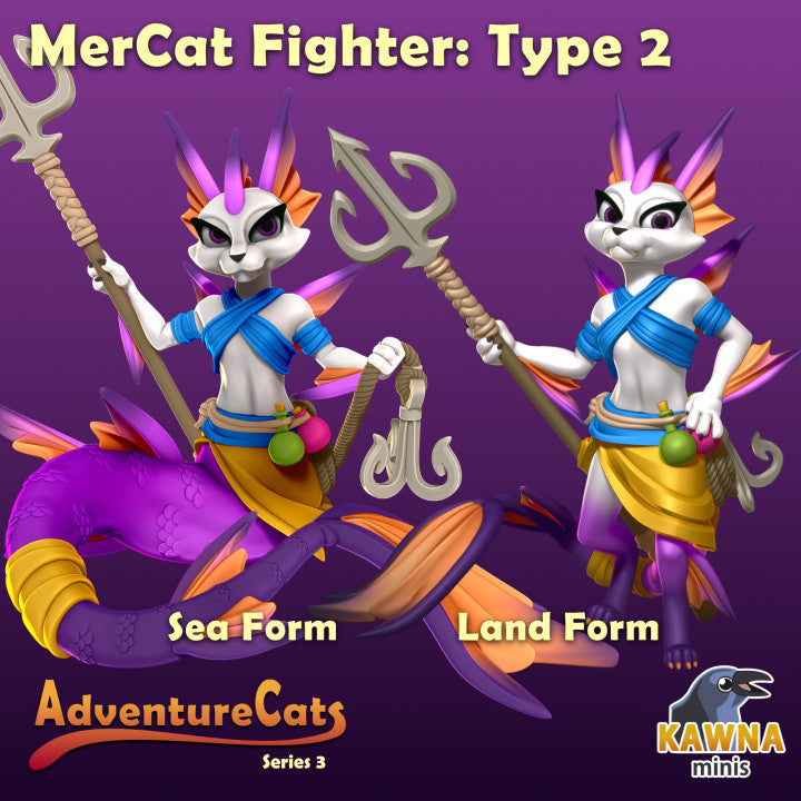 MerCat Fighter: Type 2