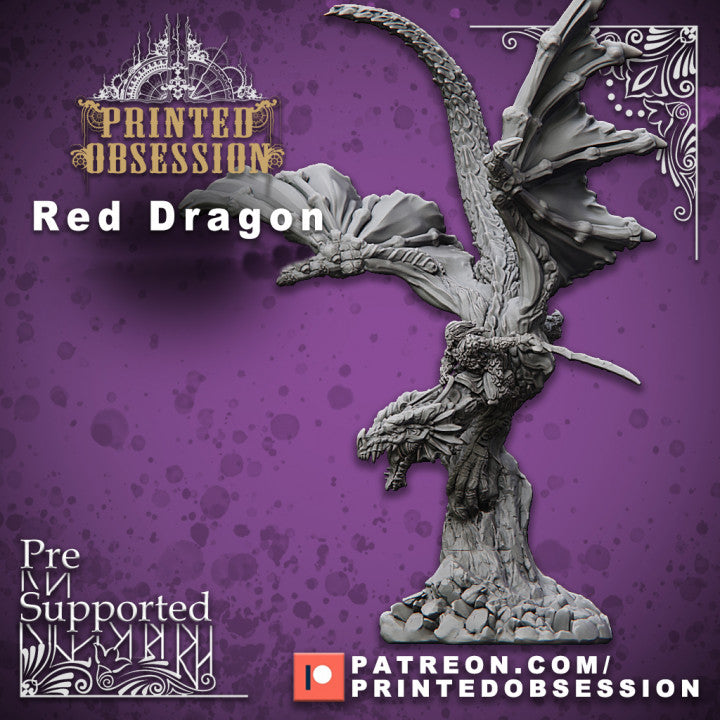 Red Dragon Rider