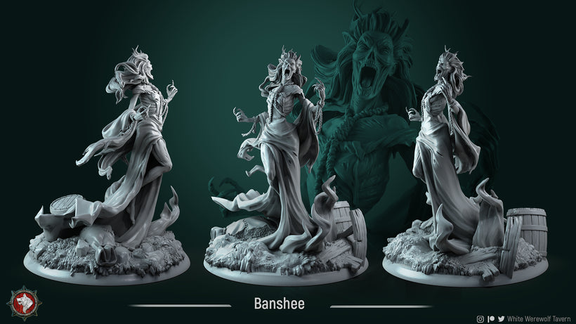 undead skeleton female spirit banshee unpainted resin unpainted resin 3D Printed Miniature
