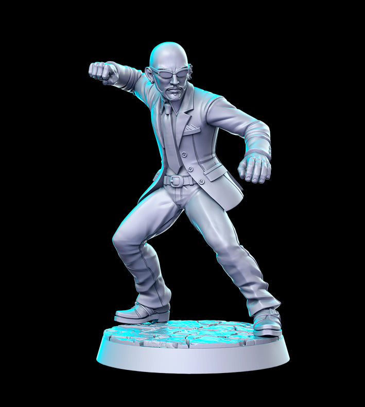 The Professional