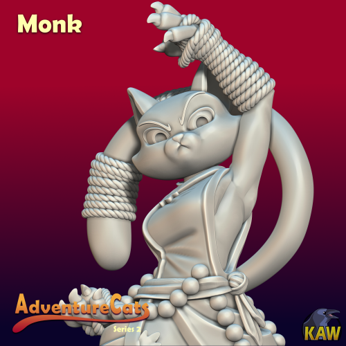 Monk Cat