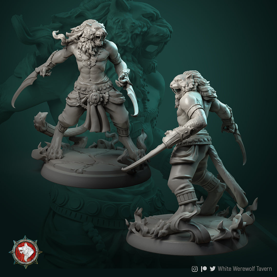 Leonin Tabaxi Warrior