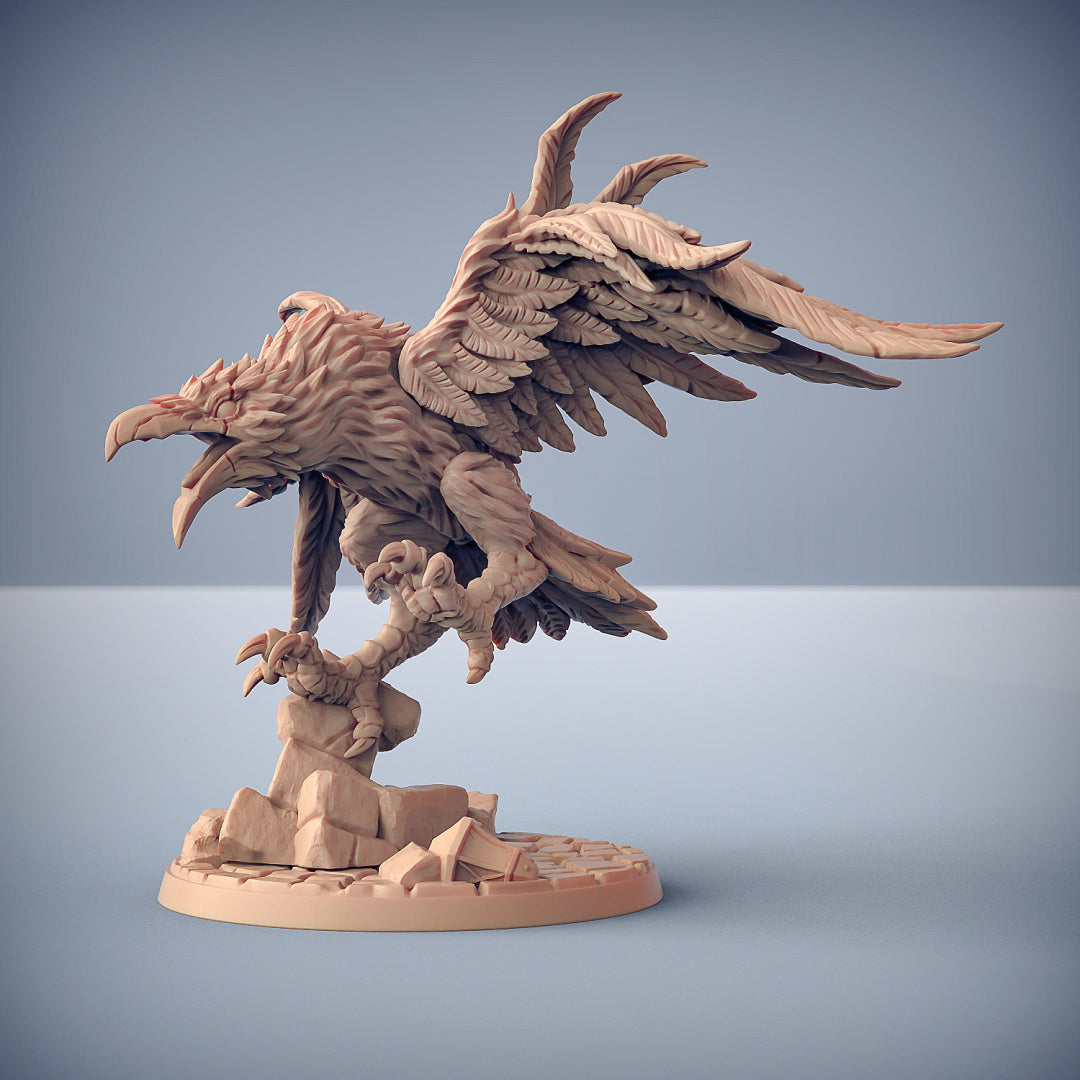 Shadowclaws the Dire Raven