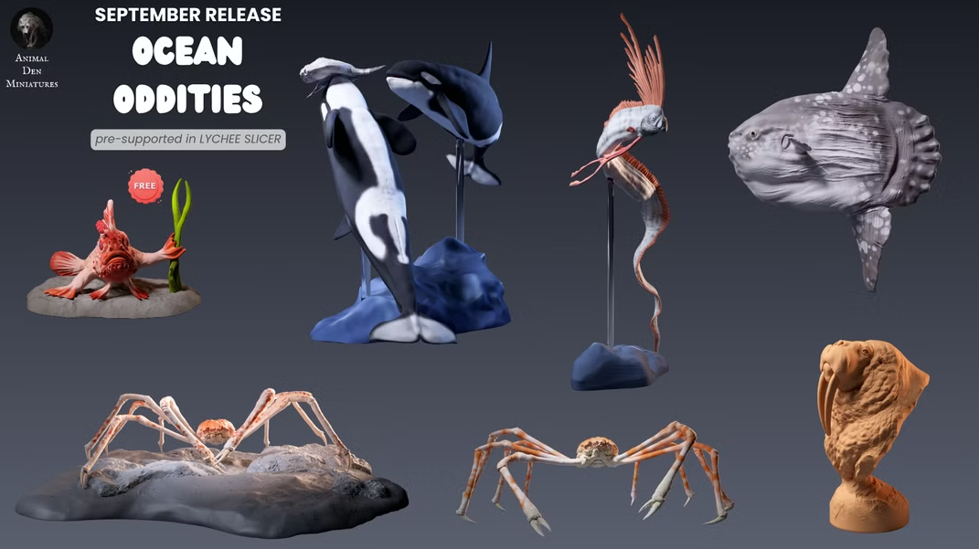 2026/09 - Ocean Oddities