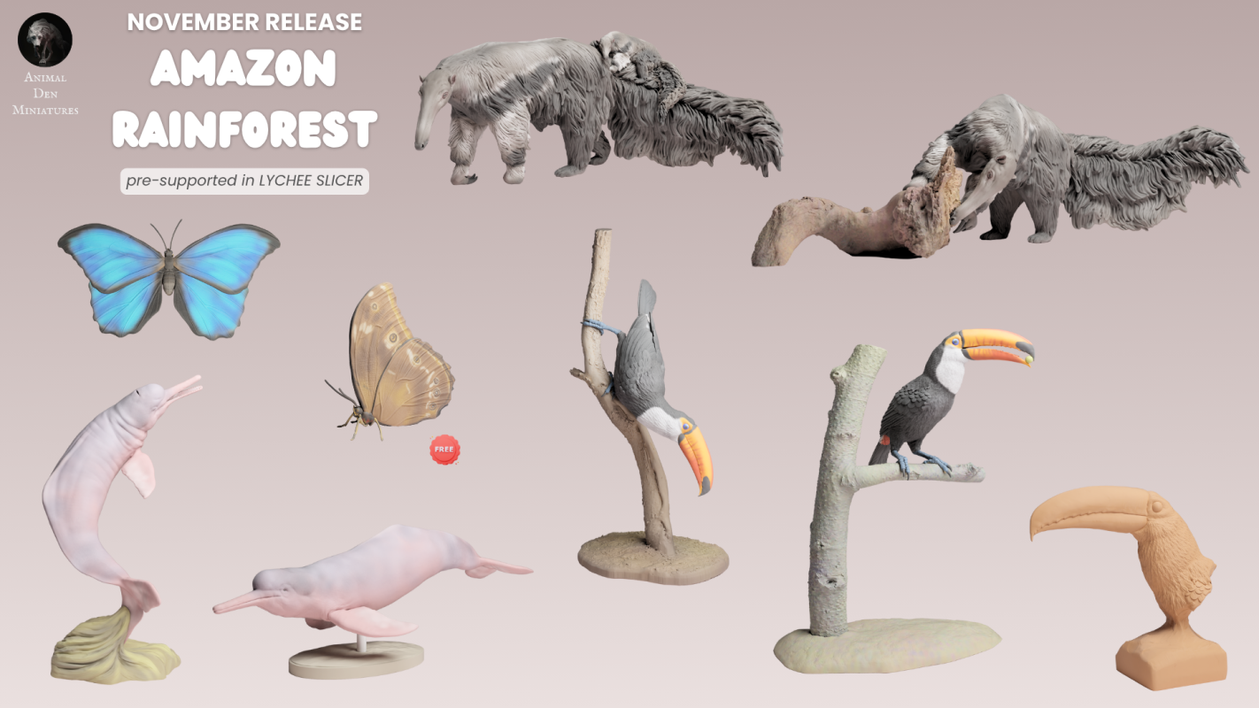 2025/11 - Amazon Rainforest