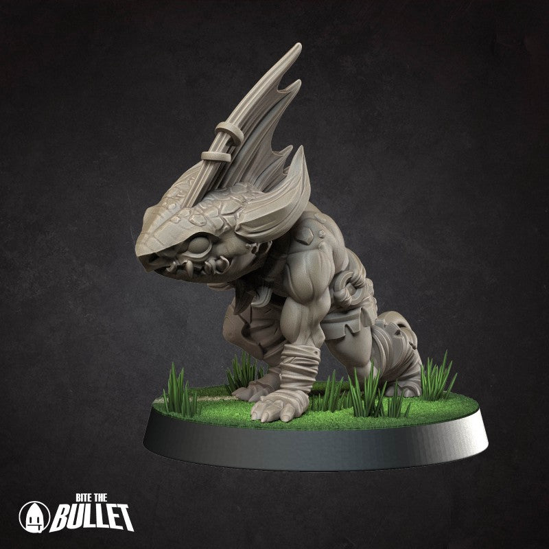 Kobold - V1