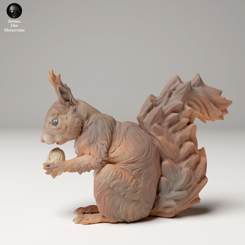Red Squirrel