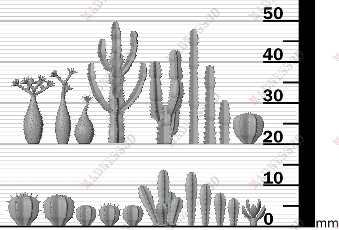 Desert Plants - Group 2
