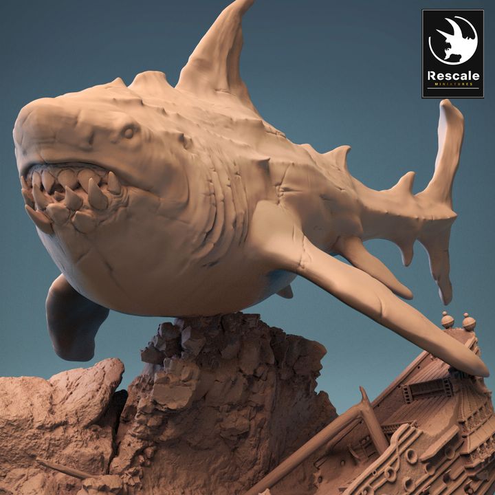 Megalodon - Swim