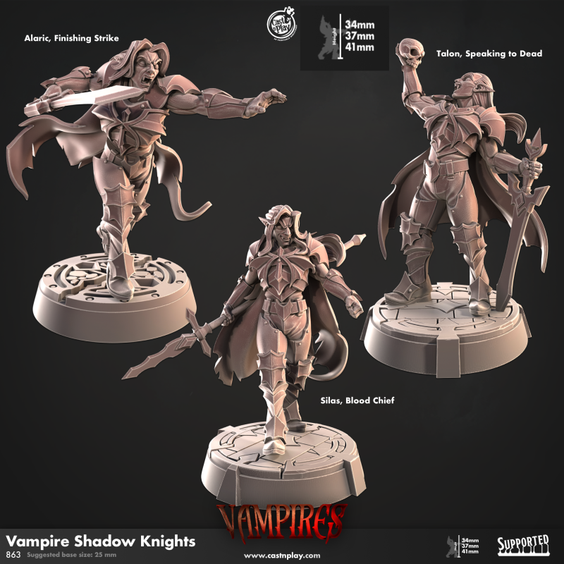 Vampire Shadow Knights