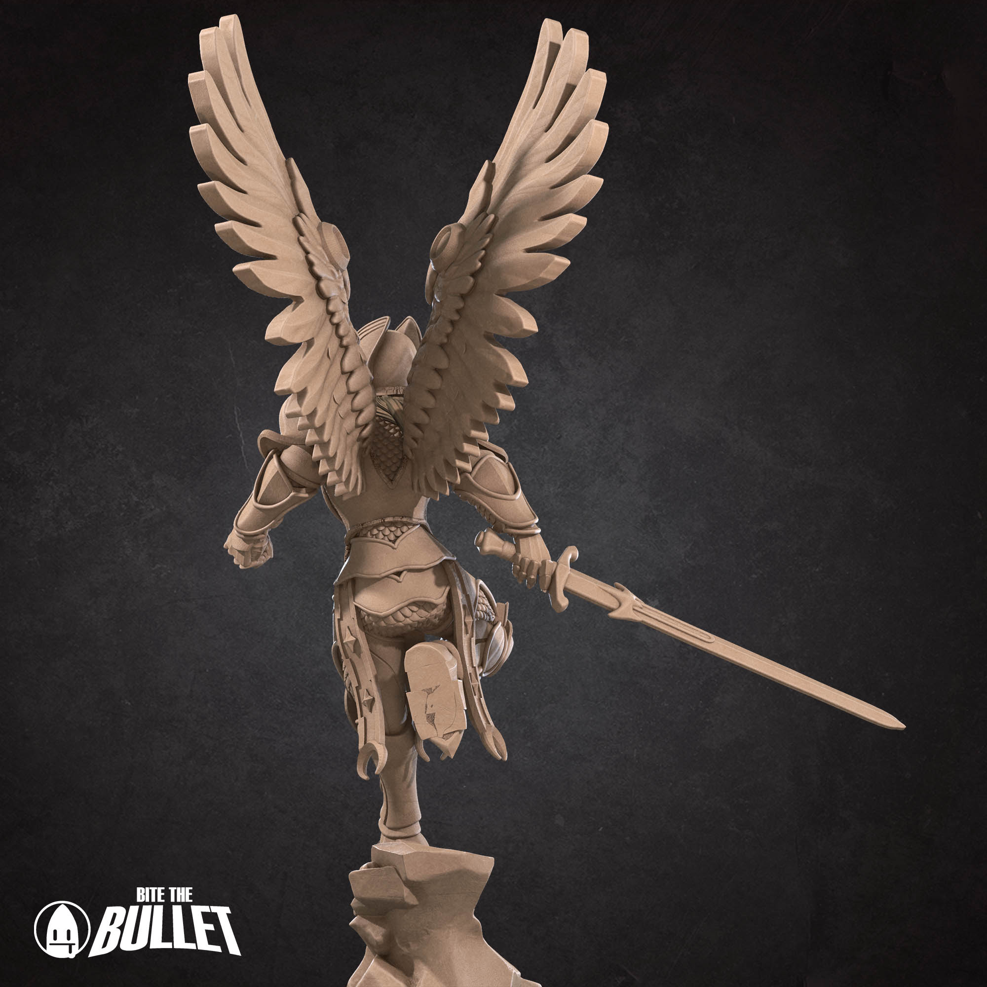 Aasimar Paladin