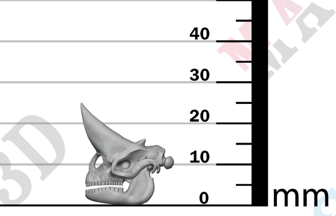 Dinosaur Skulls - Group 1