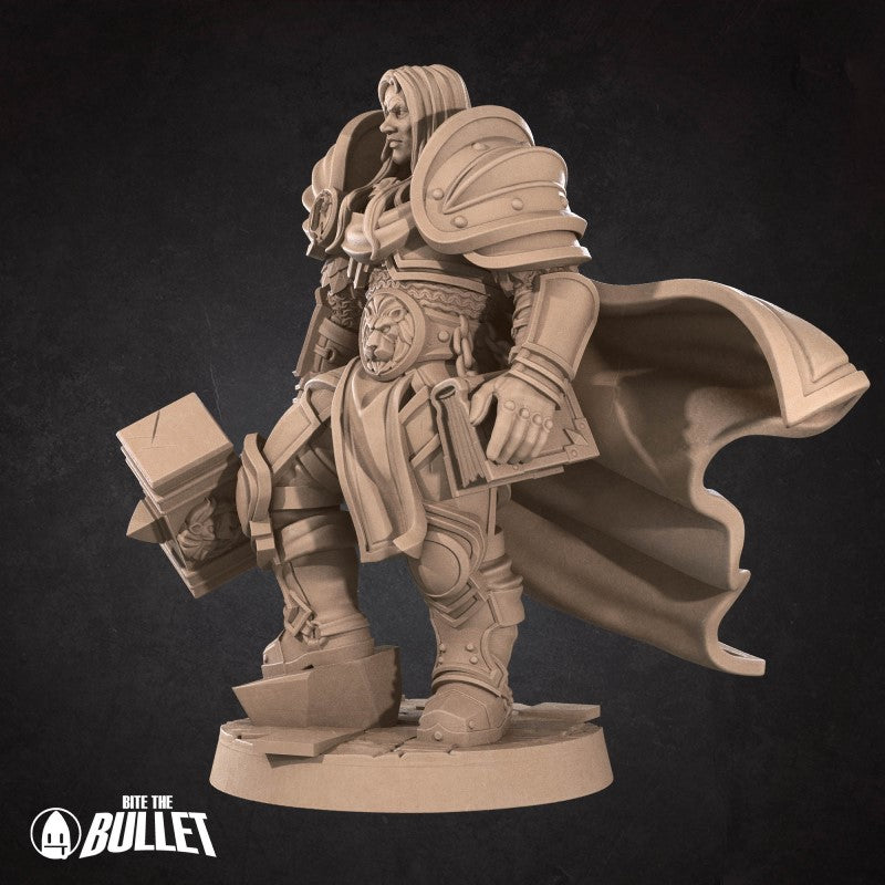Arthas - Human Prince Paladin