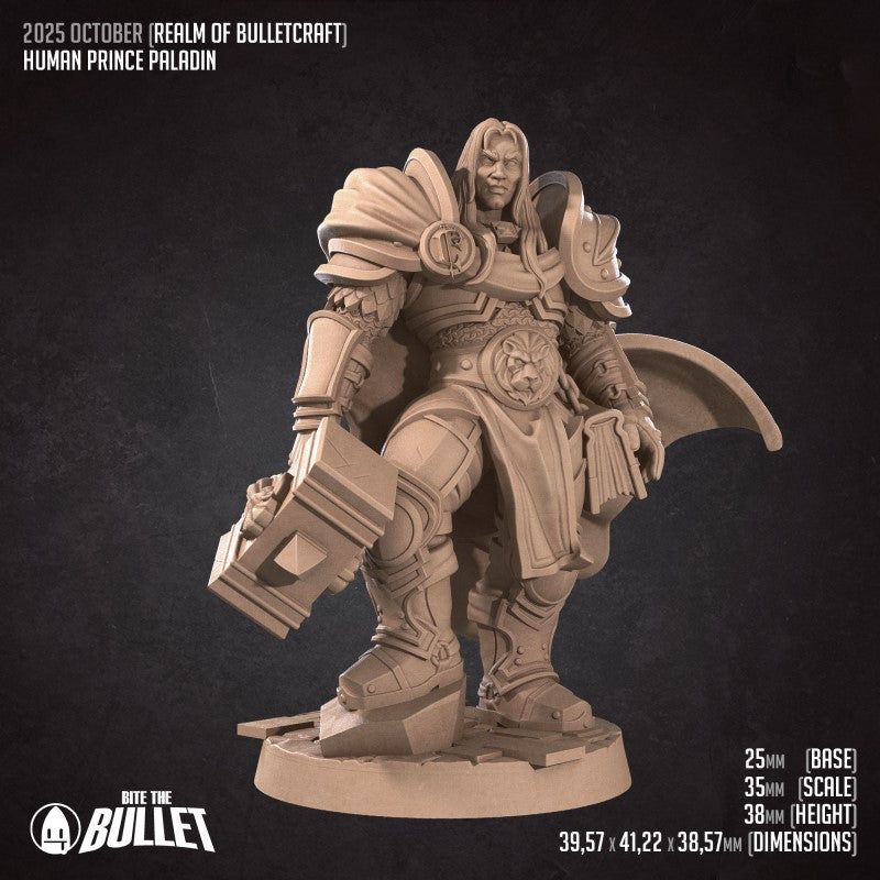 Arthas - Human Prince Paladin