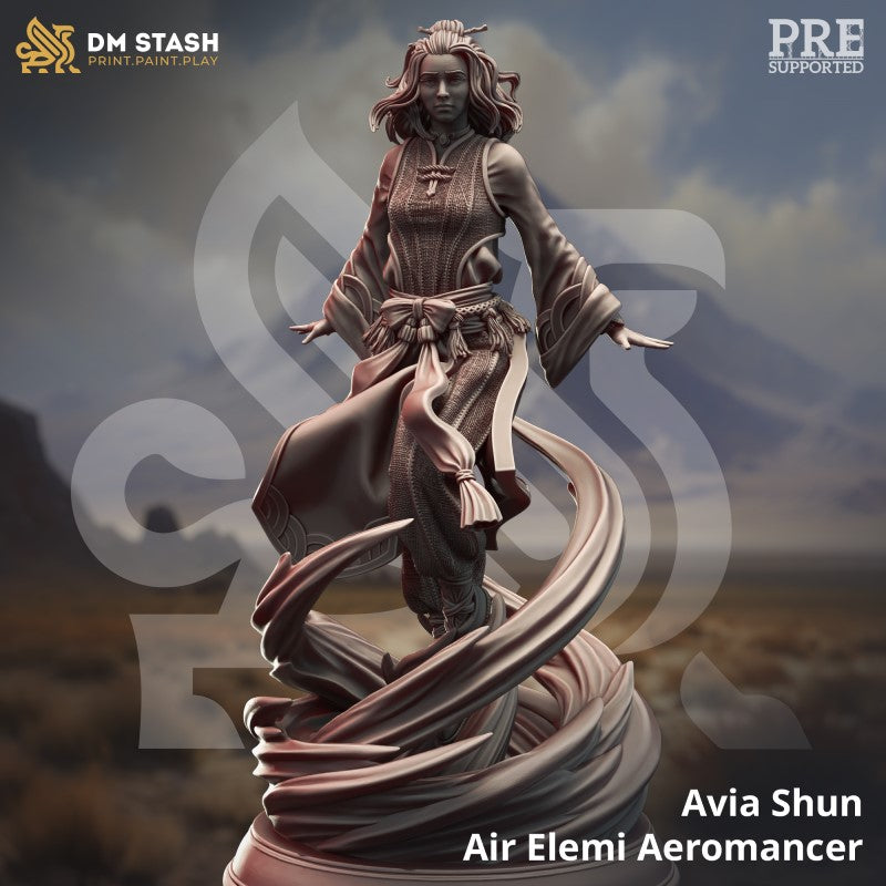 Avia Shun - Air Elemi Aeromancer