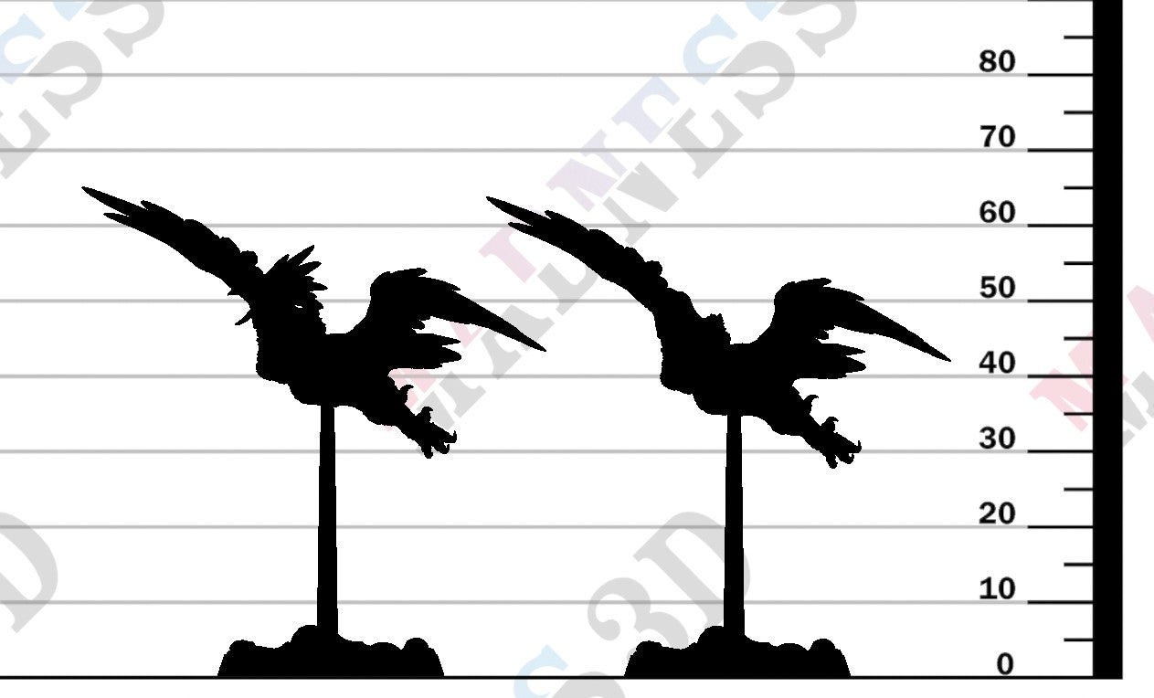 Cliff Harpies - B