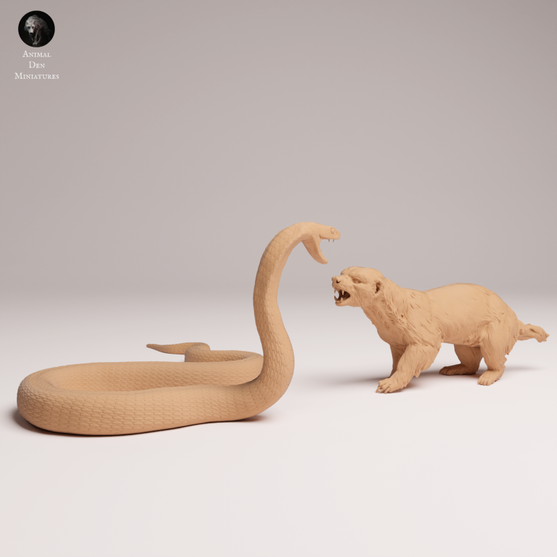 Honey Badger vs Black Mamba 1-24