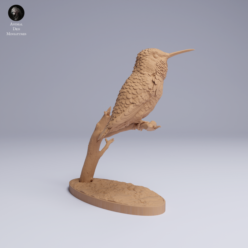 Hummingbird