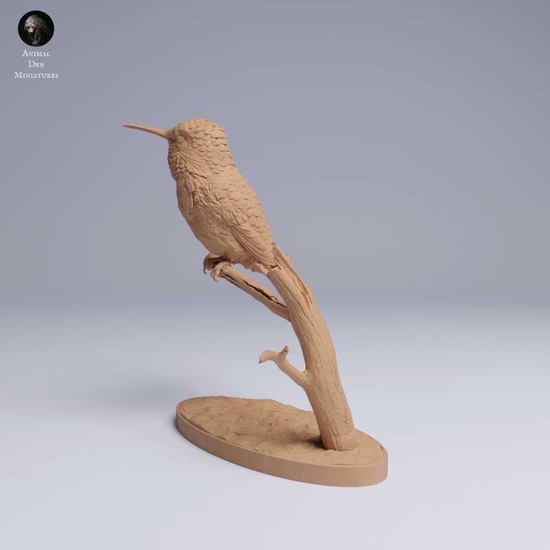 Hummingbird
