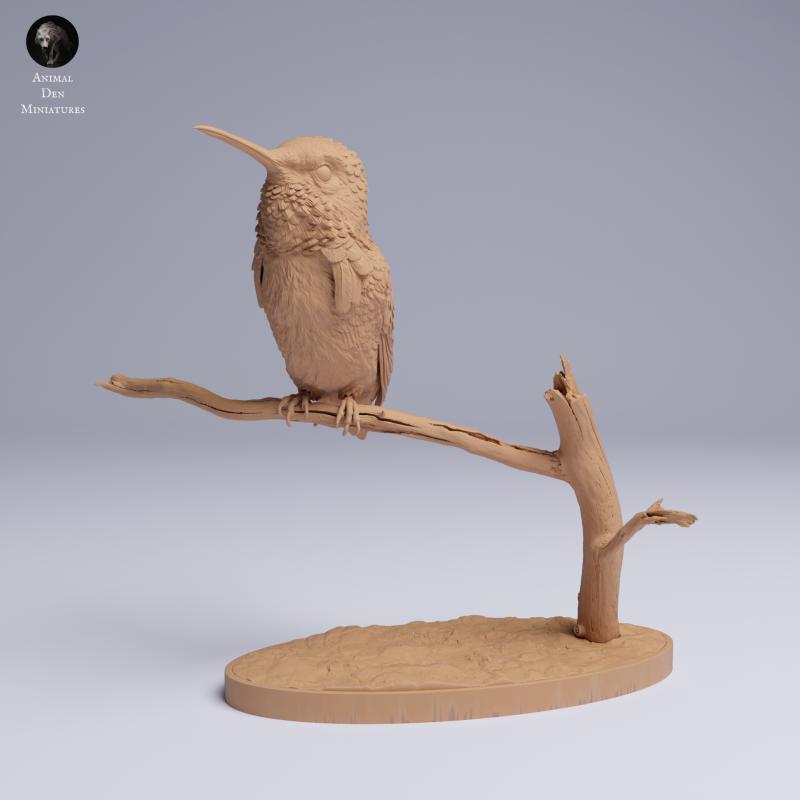 Hummingbird