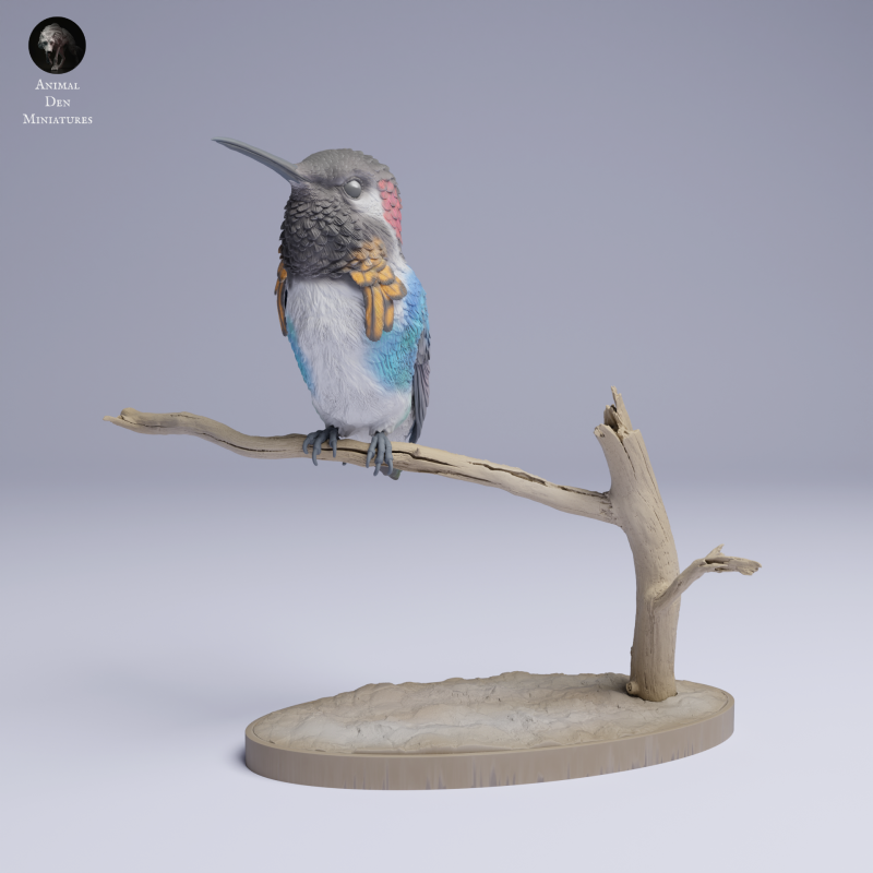 Hummingbird