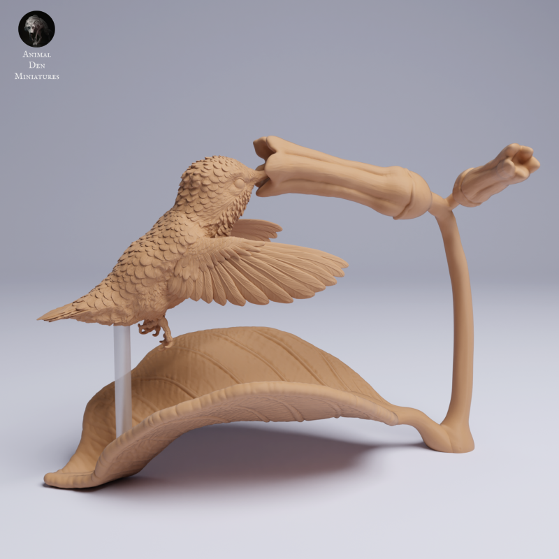 Hummingbird - Fly