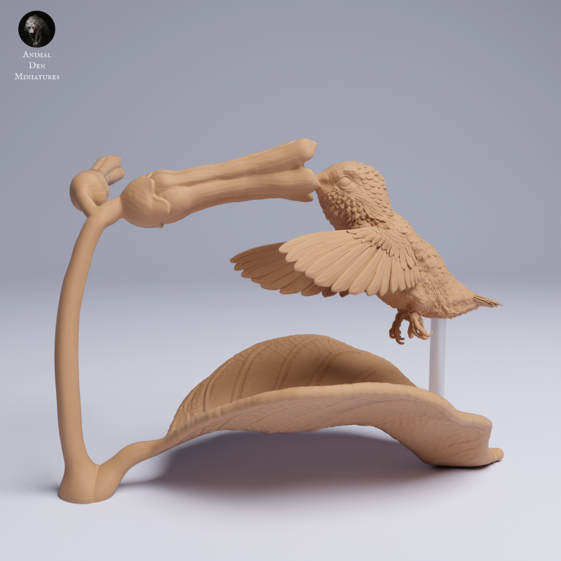 Hummingbird - Fly