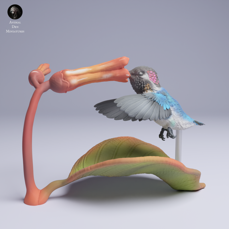 Hummingbird - Fly