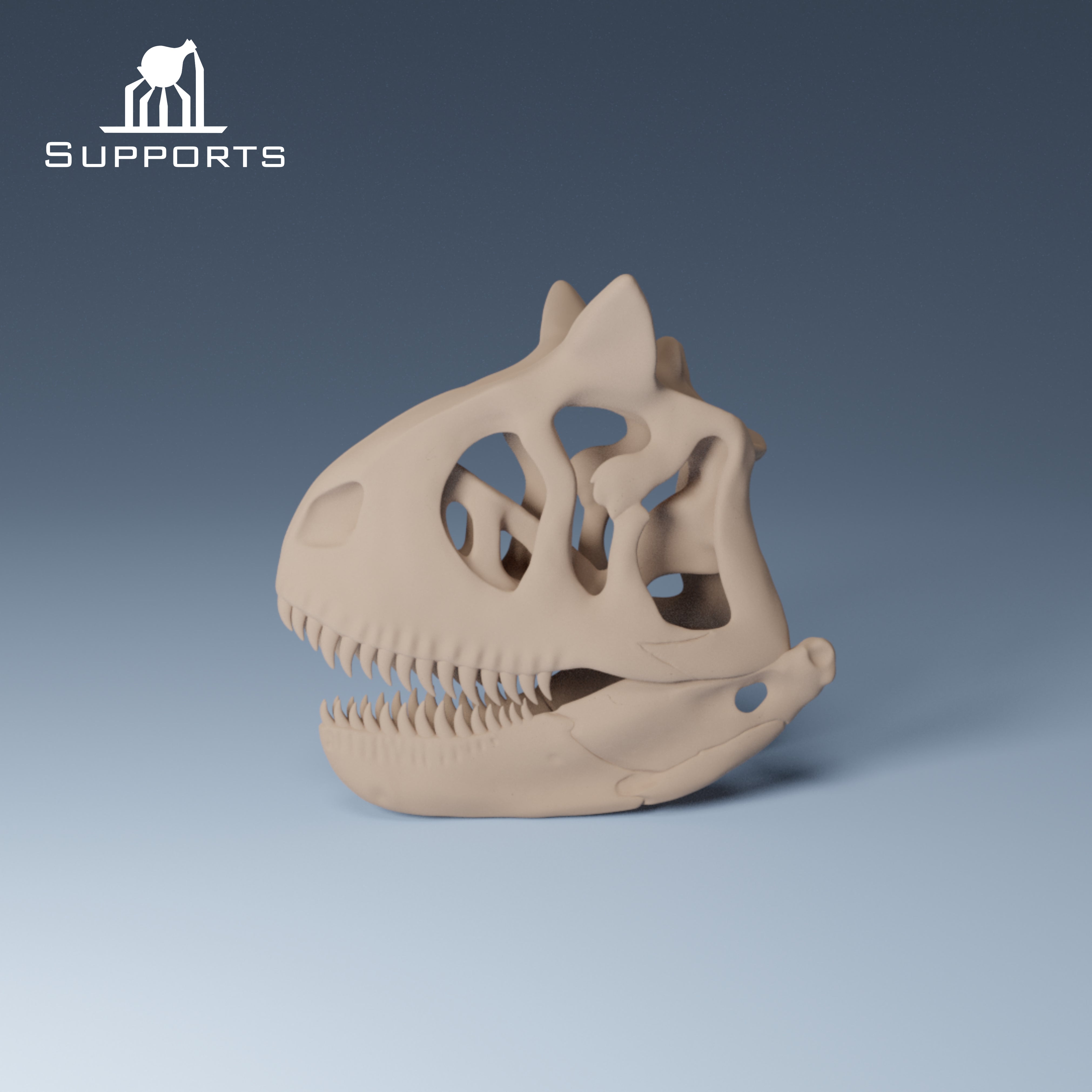 Dinosaur Skulls - Group 1