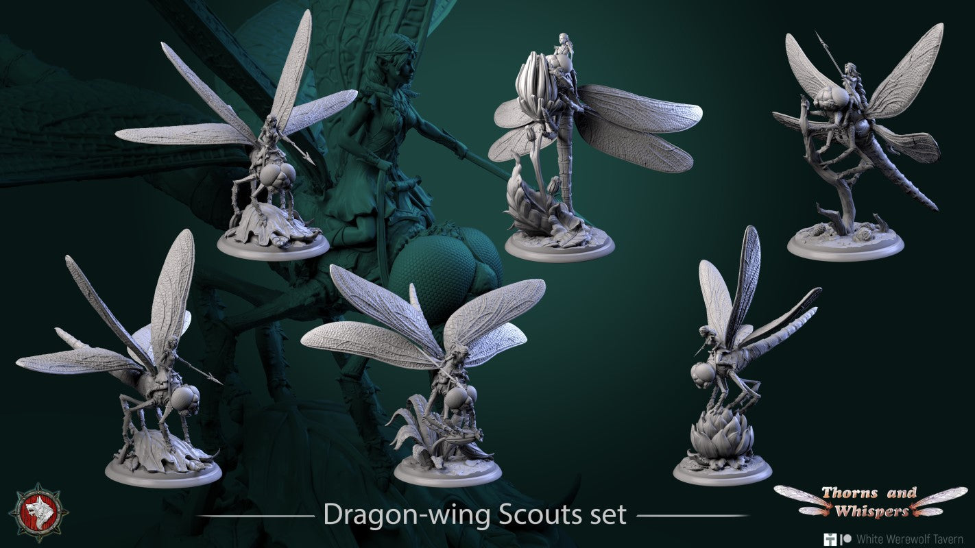 Dragonfly - Set