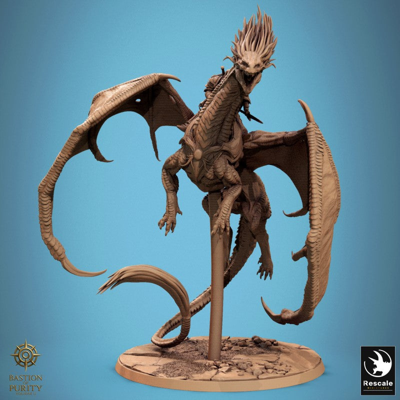 Dragon Watcher - Fly