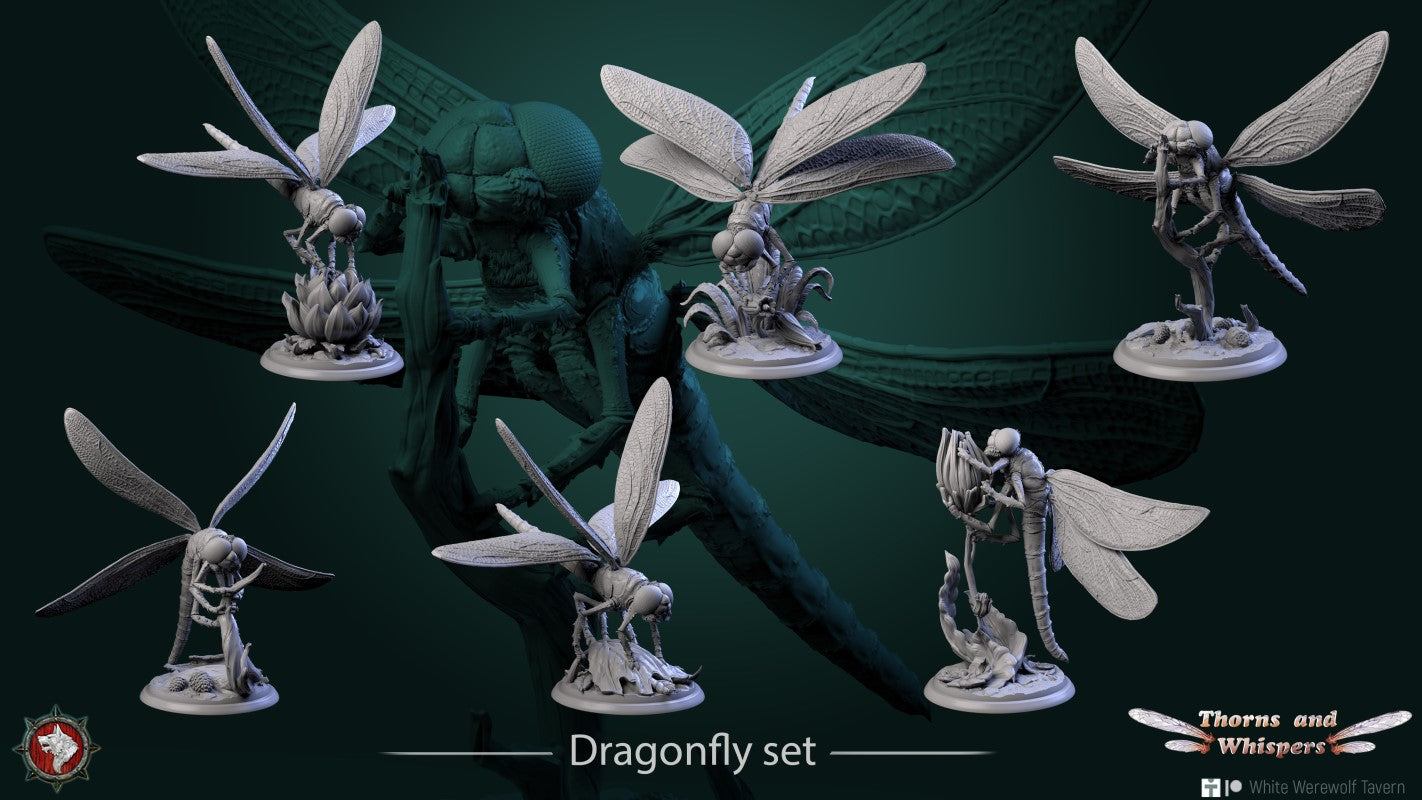 Dragonfly - Set