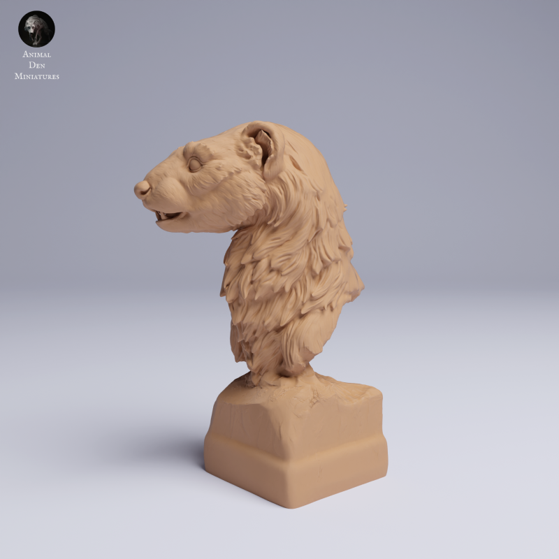 European Polecat - Bust