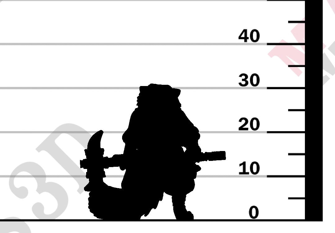 Paltuun Barbarian - Female