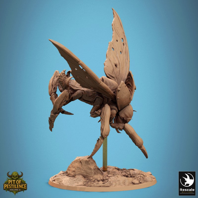 Scarab Host Fly - Attack