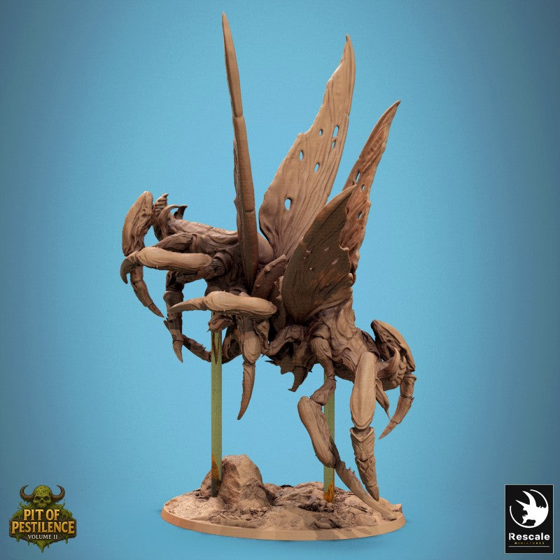 Scarab Host Fly - Battle