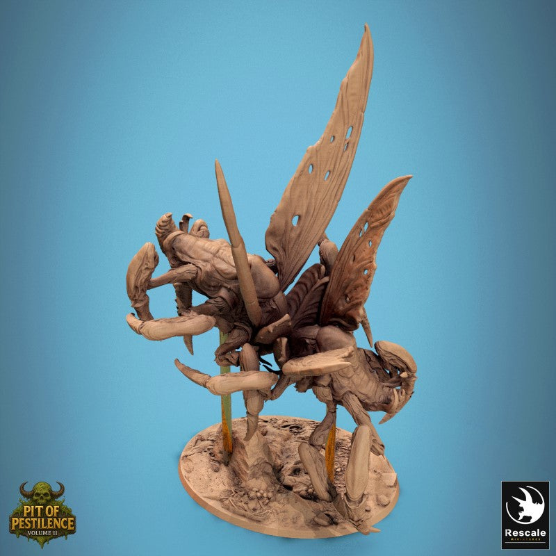 Scarab Host Fly - Battle
