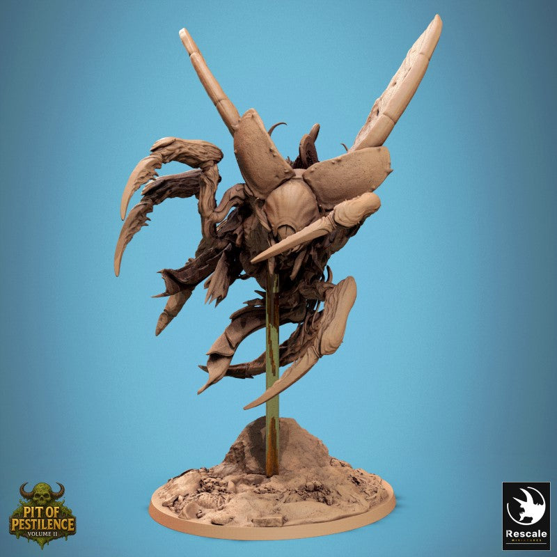 Scarab Host Fly - Jump