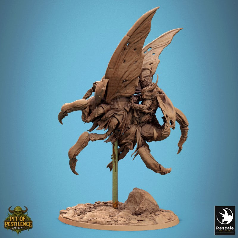 Scarab Host Fly - Jump